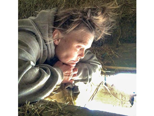 Blogger Jennifer Campbell shares that calving season involves a lot of hours quietly watching and waiting for calves. Sometimes after bedding the stock, she finds herself gazing down from the loft and convincing myself that this is it. (DTN/Progressive Farmer photo by Jennifer Campbell)