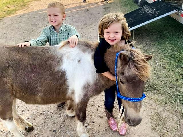 Katie Elder truly was one of a kind of a horse, and she lived a heck of a life. (DTN/Progressive Farmer photo by Tiffany Dowell Lashmet)