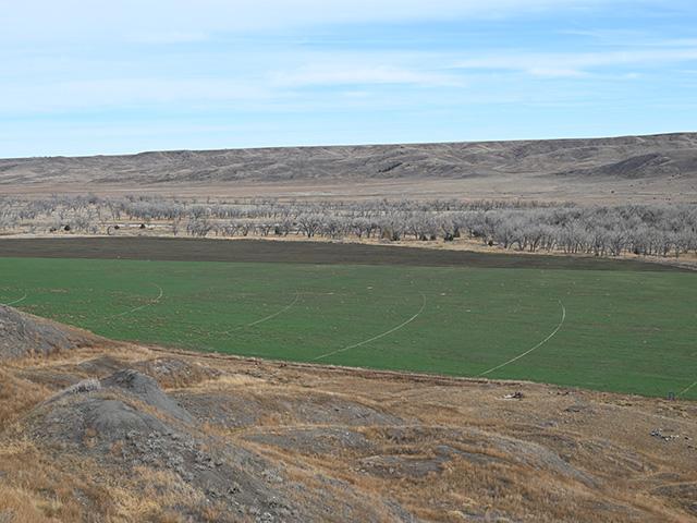 Charles and Heather Maude have a ranch near Caputa in western South Dakota. The land shown as the darker brown strip in the middle of the photo is the area disputed by the U.S. Forest Service as to ownership. (DTN photo by Jennifer Carrico)