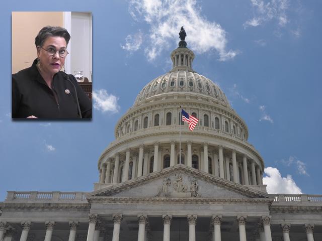 Rep. Harriet Hageman, R-Wyo., pushed back on legislation for year-round E15 unless there are policy fixes that will also help small refiners. Rather than pass an E15 bill, House leaders created a rural energy council that will look at both E15 and possible changes to the Renewable Fuels Standard. (DTN file photos)