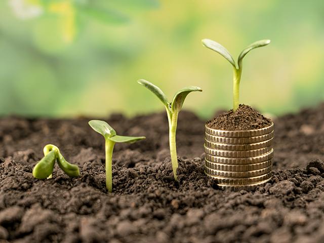 Producers will be taking a closer look at adding Supplemental Coverage Option (SCO) and Enhanced Coverage Option (ECO) to their individual crop insurance policies for 2026. Before jumping in, there are some things to consider. (Photo by Aleksander Tumko, Getty Images)