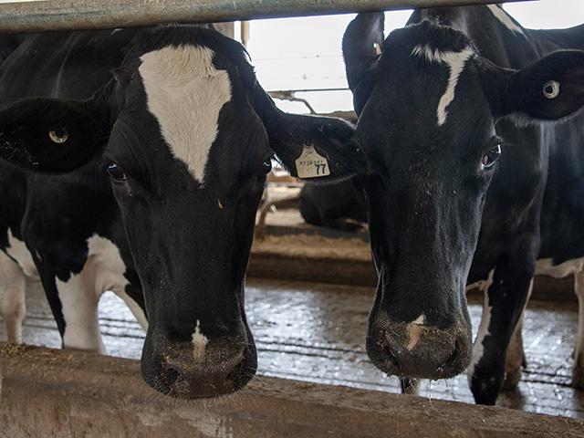 Dairy makes up just one small slice of trade between the U.S. and Canada, but it draws a lot of attention in Congress. The Senate Finance Committee held a hearing on the USMCA trade deal on Thursday as President Donald Trump is considering withdrawing from the deal. (DTN file photo)