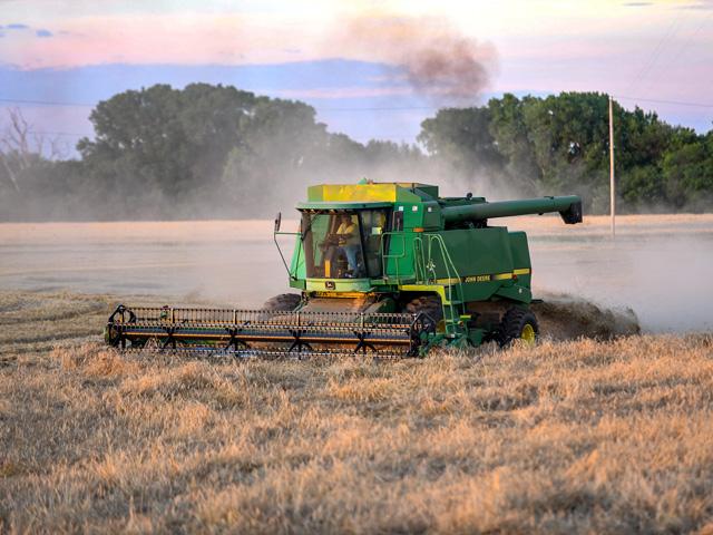 Larry Reichenberger harvests winter wheat on his south-central Kansas farm. In 2025, he shared the harvest experience with his granddaughter, Lydia, for the first time. (DTN/Progressive Farmer photo by Joel Reichenberger)