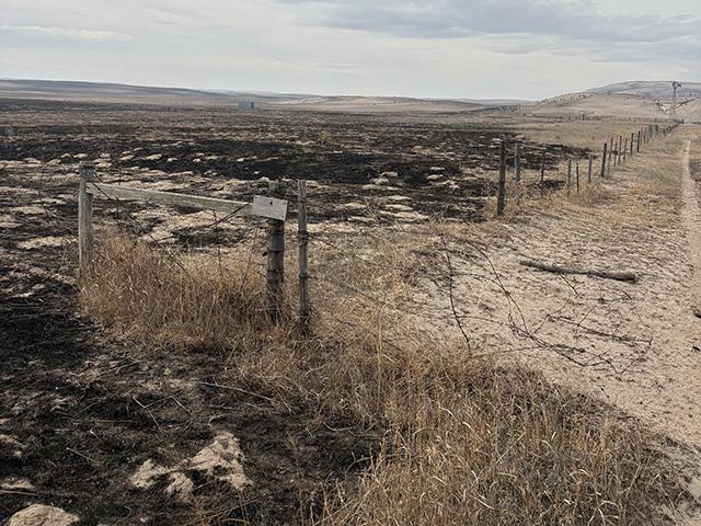 Rangeland and fences were destroyed by the Morrill Fire in western Nebraska last month. (Photo courtesy of Matt Cover)
