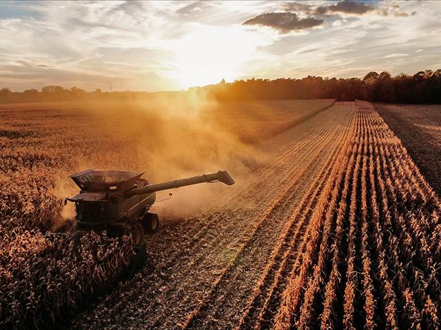 A new economic study shows how the Renewable Fuel Standard has affected farmland values. (DTN file photo by EllaMae Reiff)