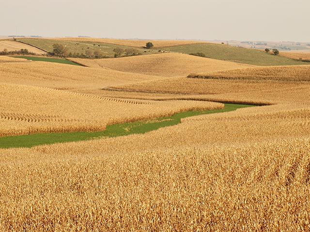 Major changes are coming with a proposed foreign ag land ownership rule. (DTN file photo)