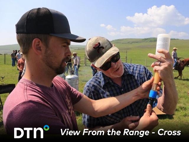 Austin Cross, left, and neighbor Howie Dixon, draw medicine into a syringe during the Cross Cattle Company branding and cattle working this spring. (Photo courtesy of Cross Cattle Company)