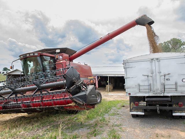 A grain truck unloads wheat in Maryland. Farmers are raising concerns about rising input costs and trade uncertainty while questioning congressional spending priorities, including billions of dollars for defense and farm aid. (DTN/Progressive Farmer photo by Joel Reichenberger)
