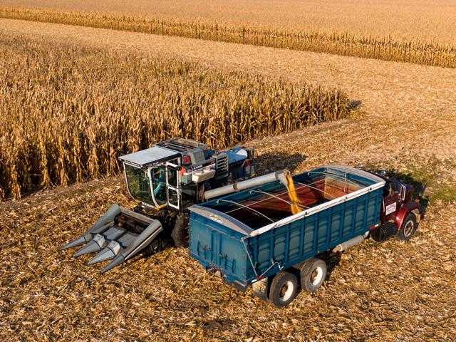 Four states have asked a federal bankruptcy court to compel Hansen-Mueller Company to release key documents requested. (DTN file photo)