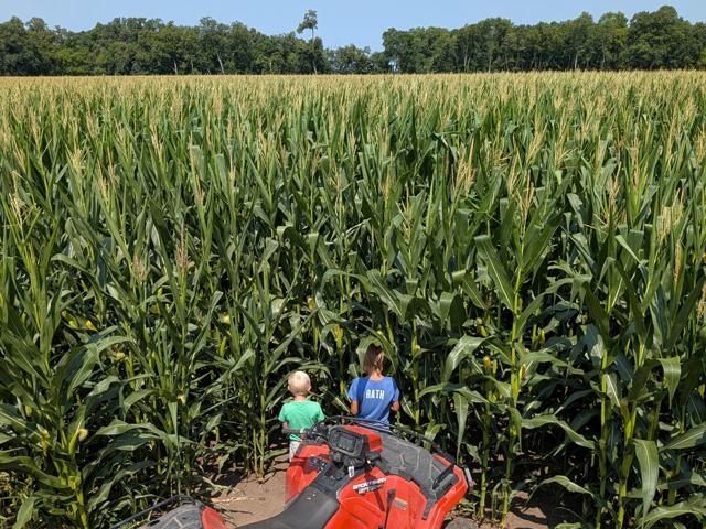 Tyler Rath got some corn scouting help from some young assistants this week. The Belgrade, Minnesota, farmer was about to wear himself out irrigating when a much-needed rain found his fields. (Photo courtesy of Tyler Rath)